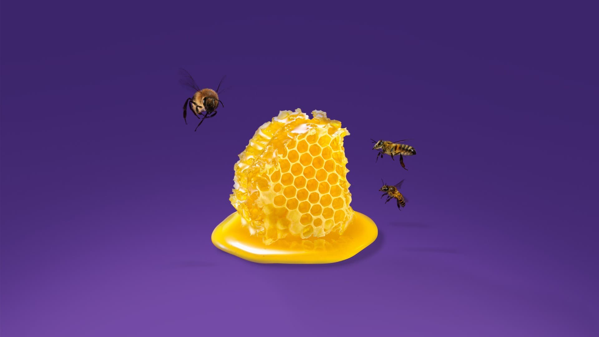 Custom Training for a Change in Mindset and Processes