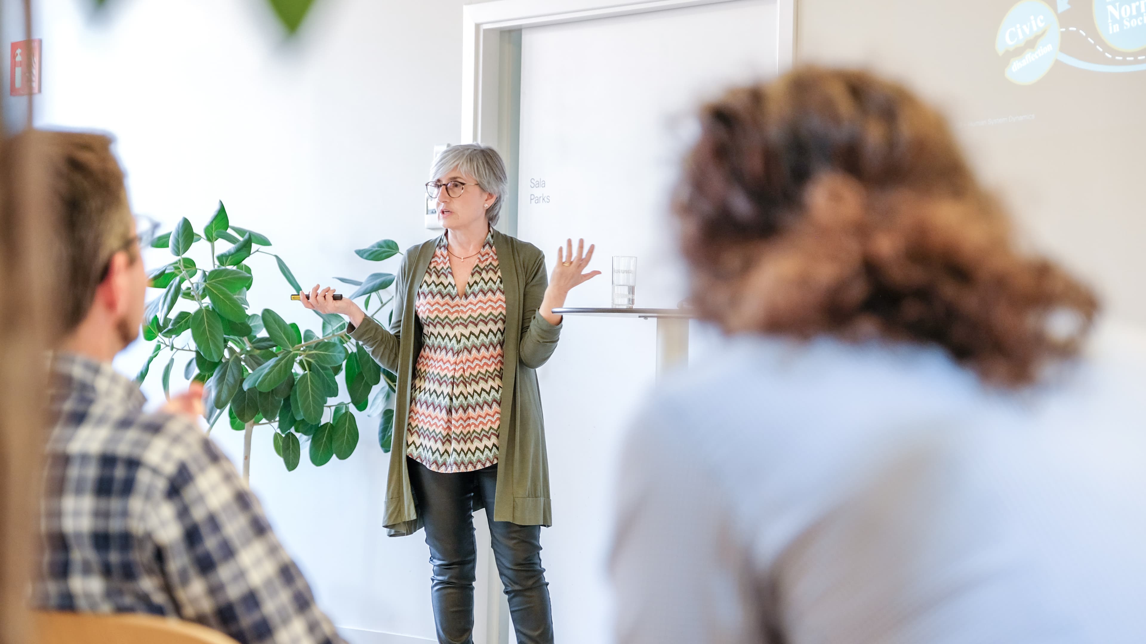 Runroom LAB Human System Dynamics con Myriam Bayés